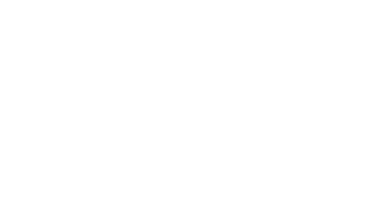 STT Service